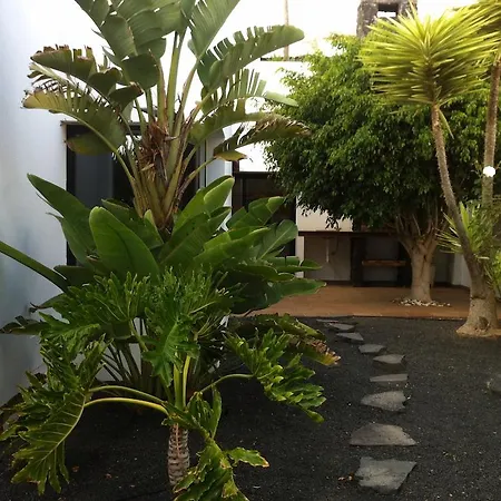 El Erizo Teguise (Lanzarote)